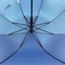 Зонты и дождевики - Детский зонтик-трость хамелеон Toprain с водооталкивающей пропиткой Toprain034-7#4