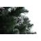 Аксесуари для свят - Ялинка штучна Європейська з шишками Juzva 190 см зелено-срібляста (Juzva190)#3
