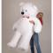 М'які тварини - Плюшевий ведмедик Mister Medved Форрест 2 метри Білий (015)#3