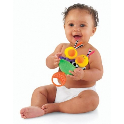 Погремушки, прорезыватели - Погремушка Птички и Мышки Fisher-Price в ассортименте (Ж5615)#4