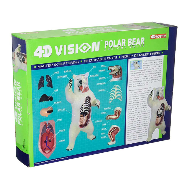 Научные игры, фокусы и опыты - Сборная модель Белый медведь 4D Master (26097)#2
