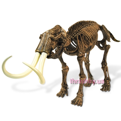 Наборы профессий - Набор юного палеонтолога Geoworld Трицератопс и Мамонт (CL167K)#3