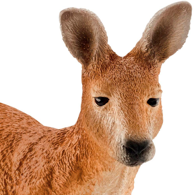 Фігурки тварин - Ігрова фігурка Кенгуру Schleich (14756)#2