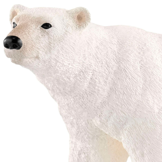 Фигурки животных - Пластиковая фигурка Schleich Белый медведь 12,2 х 5,7 х 7,2 см (14800)#2