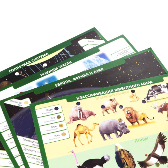 Навчальні іграшки - Настільна гра EDUCA Вікторина Планета Земля (EDU-17493)#4