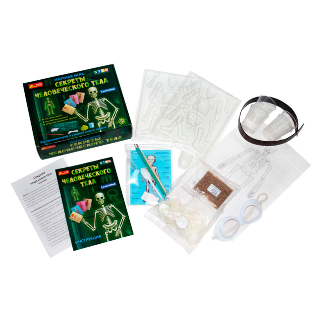 Наукові ігри, фокуси та досліди - Наукова гра Ranok Creative Анатомія Скелет людини (12115017Р)#2