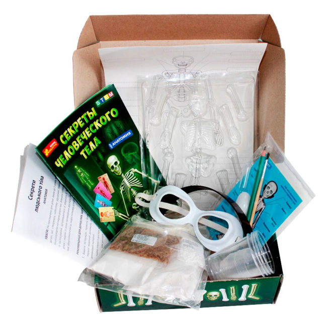 Наукові ігри, фокуси та досліди - Наукова гра Ranok Creative Анатомія Скелет людини (12115017Р)#3