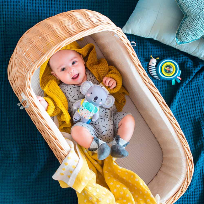 Подвески, мобили - Мягкая игрушка Taf Toys Мечтательные коалы Чудеса в кармашке (12405)#4