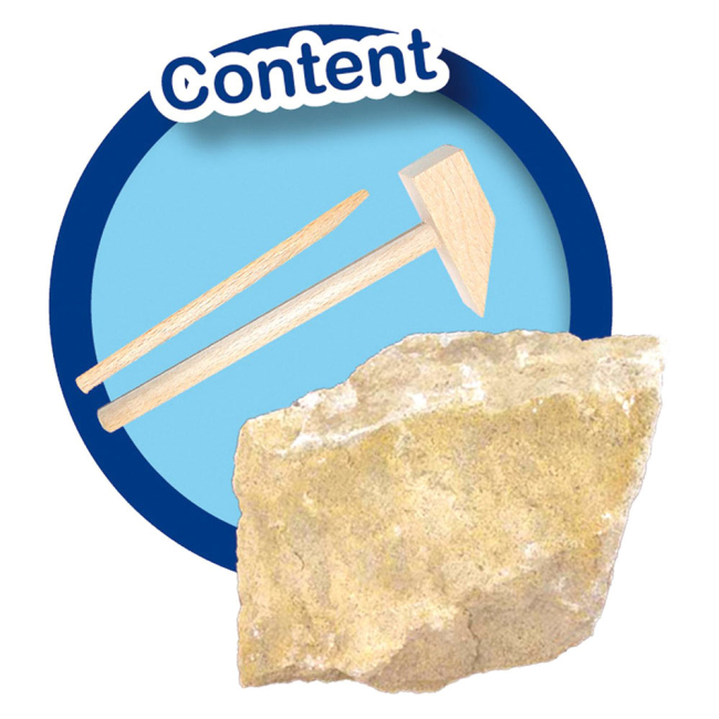 Научные игры, фокусы и опыты - Набор Ses Creative Исследователь Раскопки скелета Тираннозавра (25028S)#2