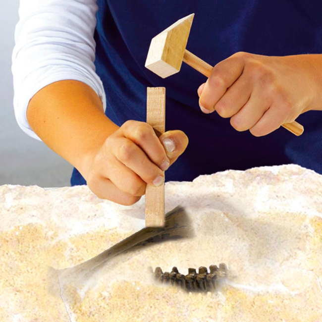 Научные игры, фокусы и опыты - Набор Ses Creative Исследователь Раскопки скелета Тираннозавра (25028S)#3