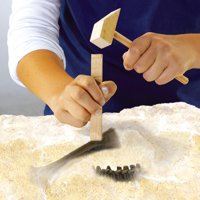 Научные игры, фокусы и опыты - Набор Ses Creative Исследователь Раскопки скелета Трицератопса (25029S)#2