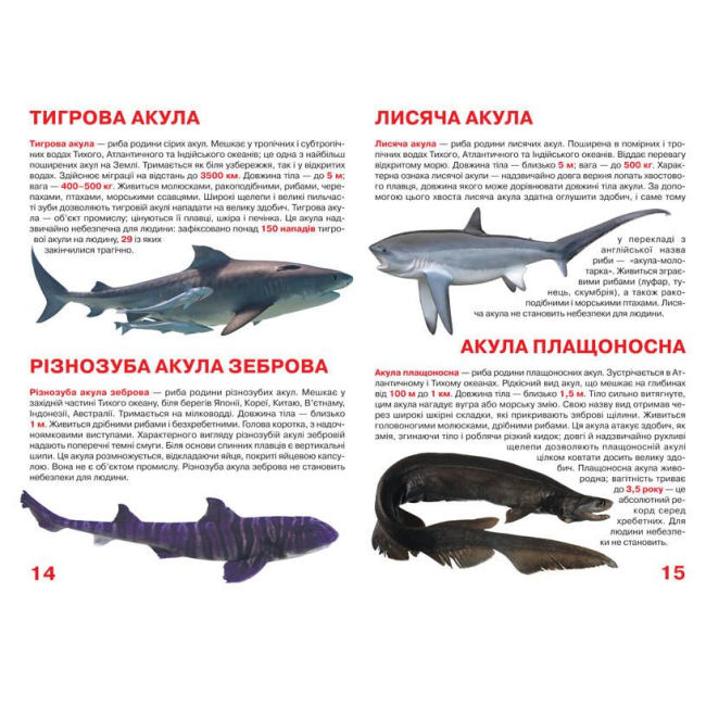 Пізнавальні книги (4-10 років) - Книжка «Велика книга Акули» українською (9789669366399)#3