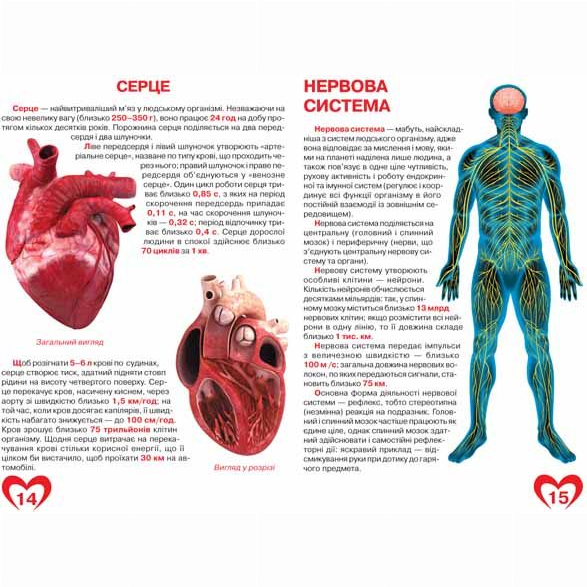 Пізнавальні книги (4-10 років) - Книжка «Велика книга Анатомія людини» українською (9789669361974)#3