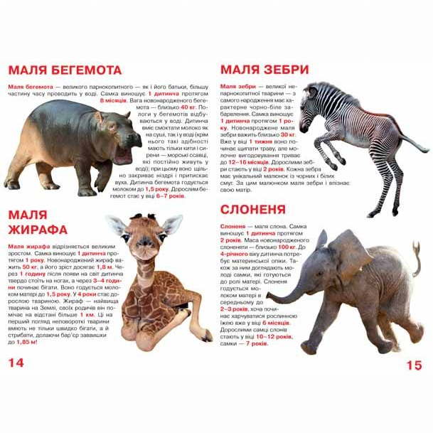 Пізнавальні книги (4-10 років) - Книжка «Велика книга Малята тварин» українською (9786177277735)#3