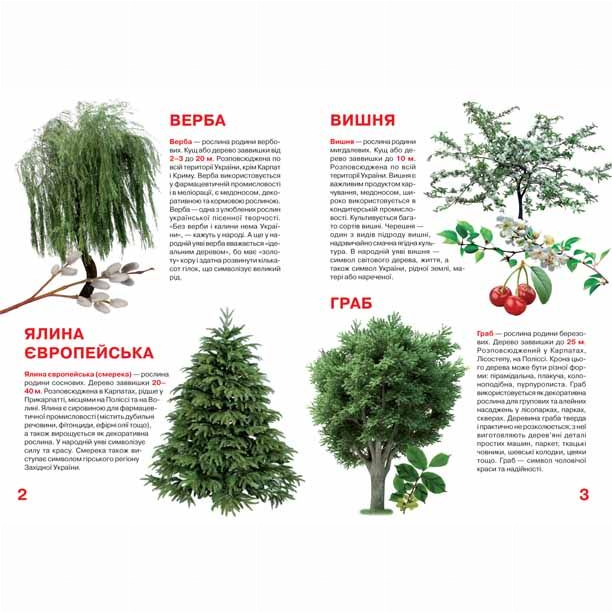 Пізнавальні книги (4-10 років) - Книжка «Велика книга Рослинний світ України» українською (9786177352128)#2