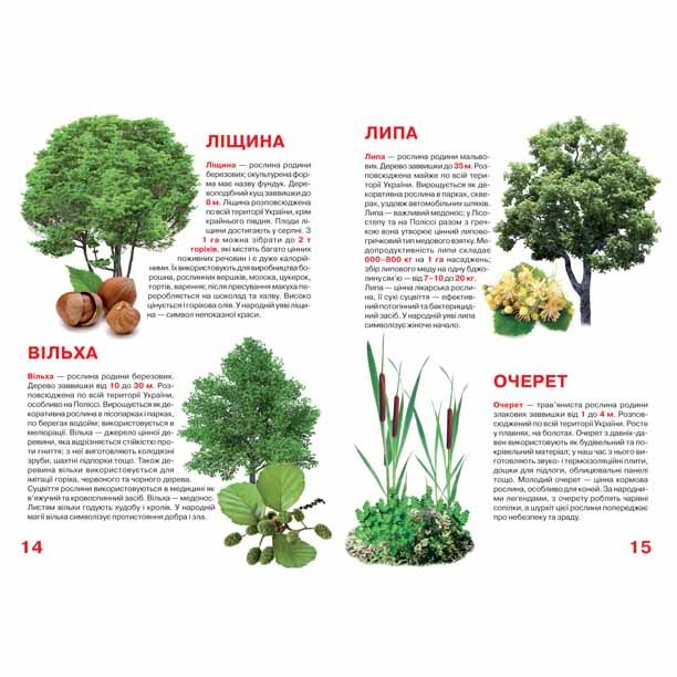 Пізнавальні книги (4-10 років) - Книжка «Велика книга Рослинний світ України» українською (9786177352128)#3