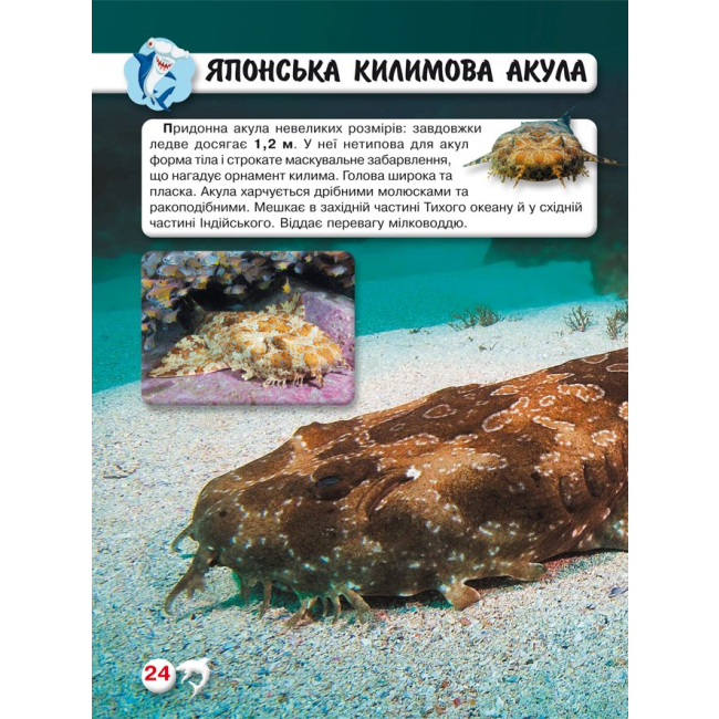 Пізнавальні книги (4-10 років) - Книжка «Світ навколо нас Акули» (9789669369147)#3