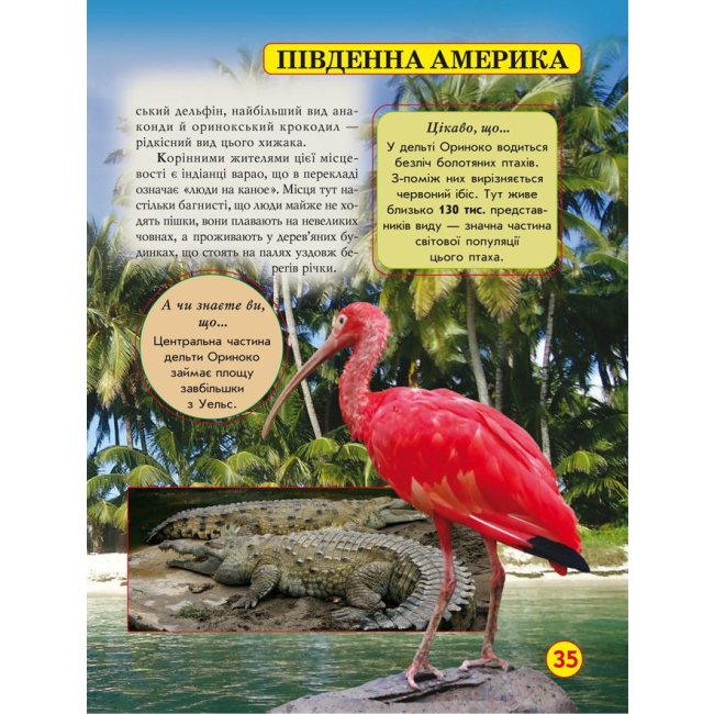 Пізнавальні книги (4-10 років) - Книжка «Світ навколо нас Дива природи» (9789669369444)#3