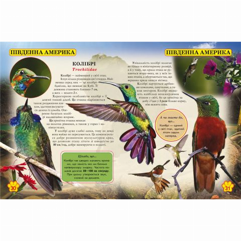 Пізнавальні книги (4-10 років) - Книжка «Світ навколо нас Дикі тварини» (9789669369420)#3