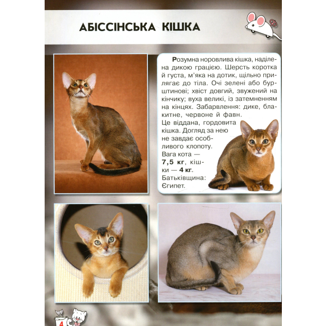 Пізнавальні книги (4-10 років) - Книжка «Світ навколо нас Кішки» (9789669367501)#2