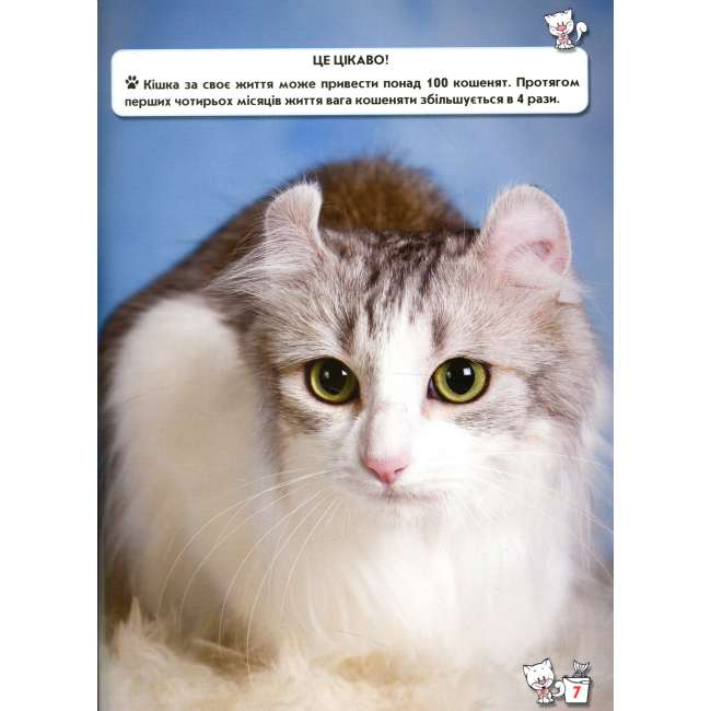 Пізнавальні книги (4-10 років) - Книжка «Світ навколо нас Кішки» (9789669367501)#3