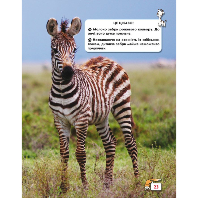 Познавательные книги (4-10 лет) - Книжка «Світ навколо нас Малята тварин» (9789669369499)#3