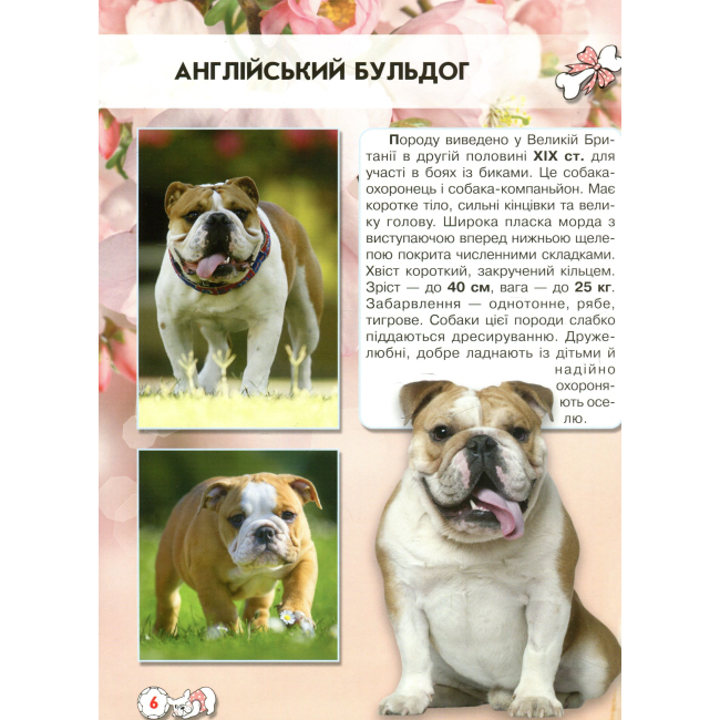 Пізнавальні книги (4-10 років) - Книжка «Світ навколо нас Собаки» (9789669367488)#2