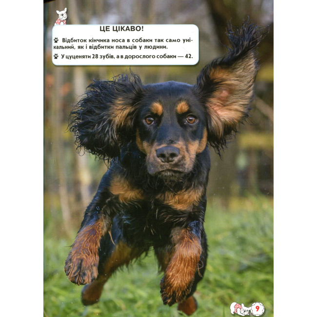 Пізнавальні книги (4-10 років) - Книжка «Світ навколо нас Собаки» (9789669367488)#3