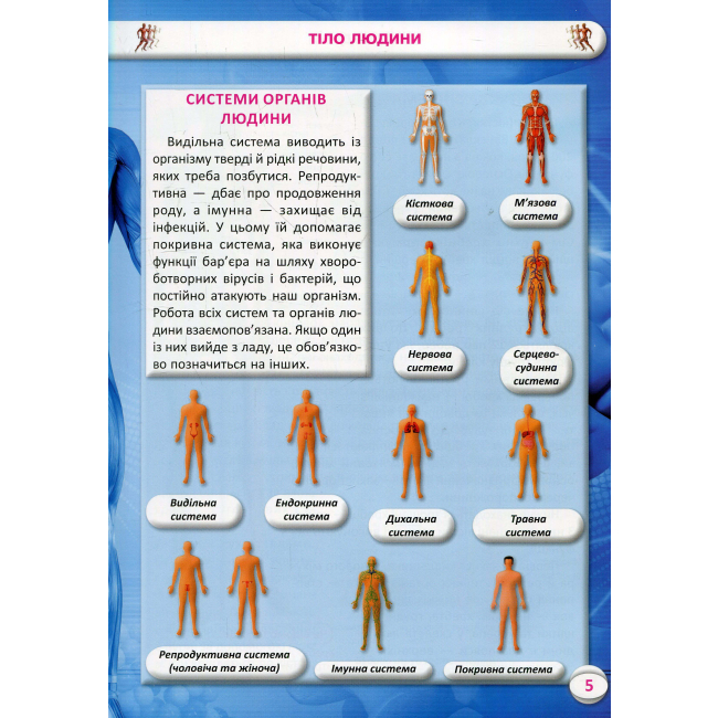 Пізнавальні книги (4-10 років) - Книжка «Усе про тіло людини. 1000 цікавих фактів» (9789669368362)#2