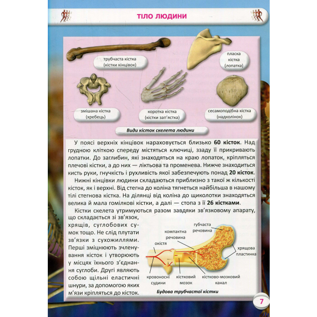 Пізнавальні книги (4-10 років) - Книжка «Усе про тіло людини. 1000 цікавих фактів» (9789669368362)#3