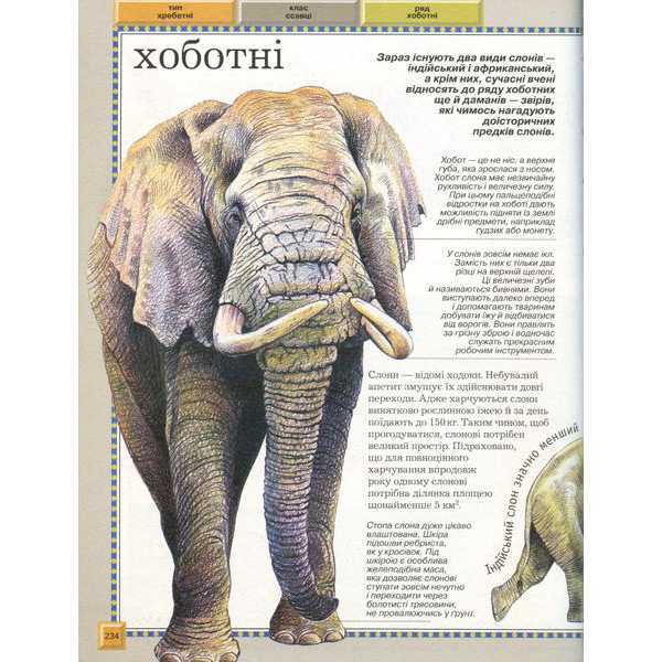 Пізнавальні книги (4-10 років) - Книжка «Велика енциклопедія тварин» (120871)#2