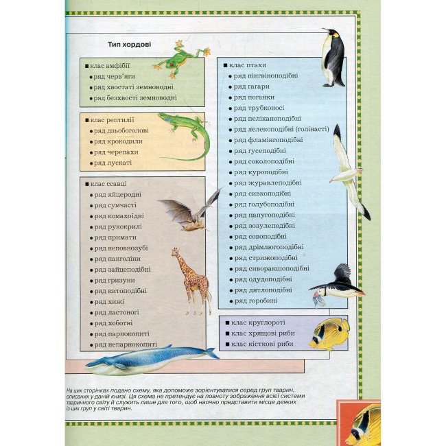 Пізнавальні книги (4-10 років) - Книжка «Велика енциклопедія тварин» (120871)#3