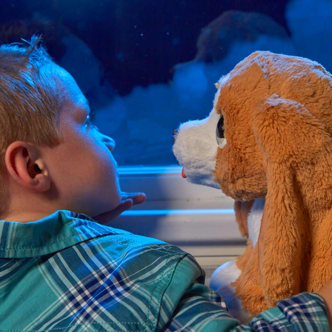 Мягкие животные - Интерактивная игрушка FurReal Friends Щенок Рыжик (E4649)#5