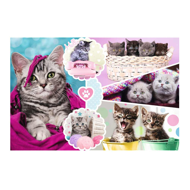 Пазлы - Пазлы Trefl Милые котята 160 шт (15371)#2