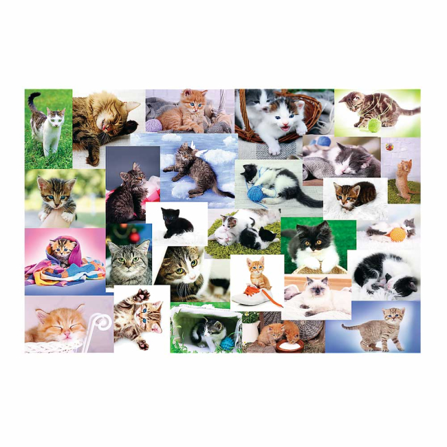 Пазли - Пазли Trefl Світ котів 60 шт (17332)#2