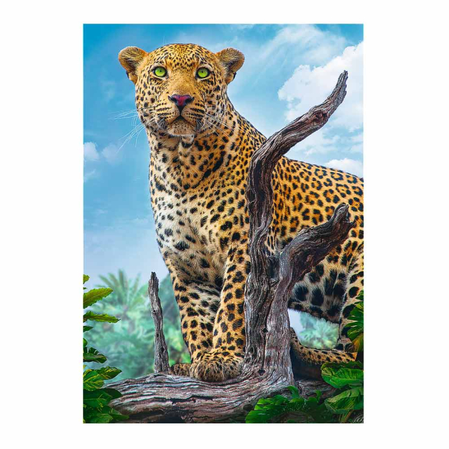 Пазли - Пазли Trefl Дикий леопард 500 шт (37332)#2