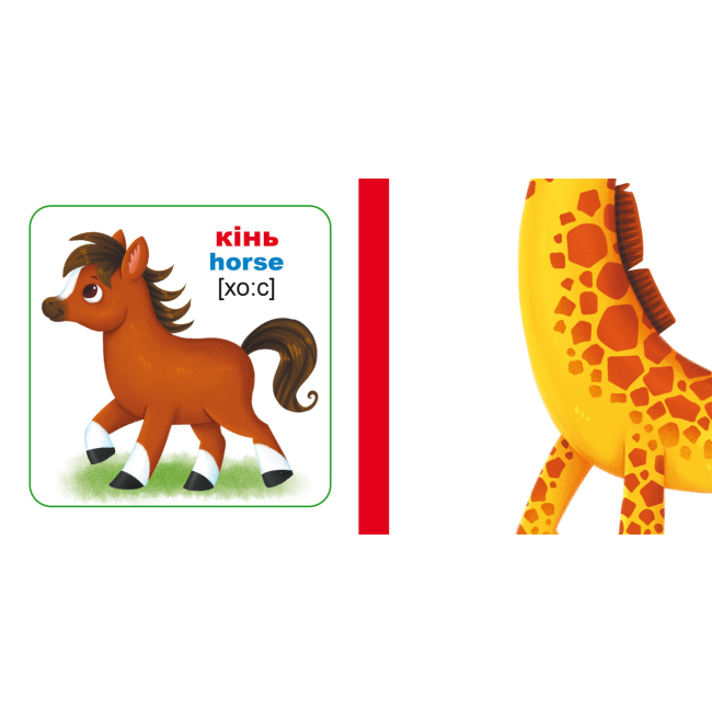 Обучающие игрушки - Умные карточки Crystal Book Животные 30 штук (9789669870193)#4