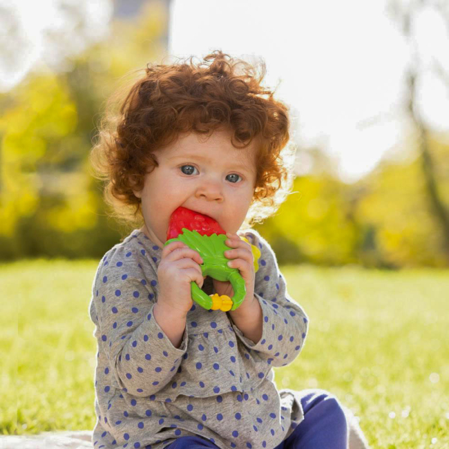 Брязкальця, прорізувачі - Прорізувач Infantino Полуниця із вібрацією (216429I)#2
