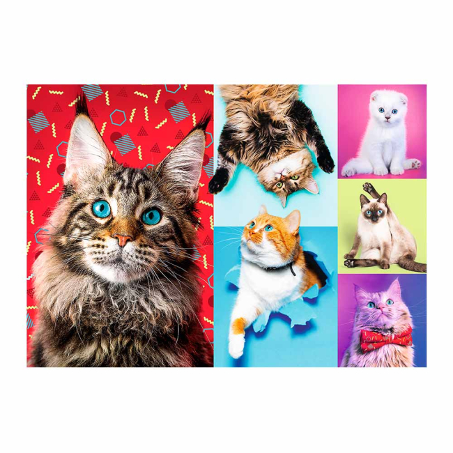 Пазли - Пазли Trefl Веселі котики 1000 елементів (10591)#2