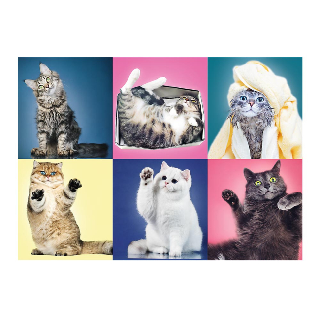 Пазлы - Пазлы Trefl Котики 500 элементов (37377)#2