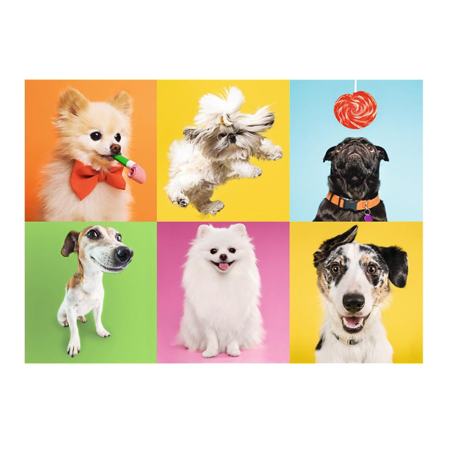 Пазли - Пазли Trefl Собаки 500 елементів (37378)#2