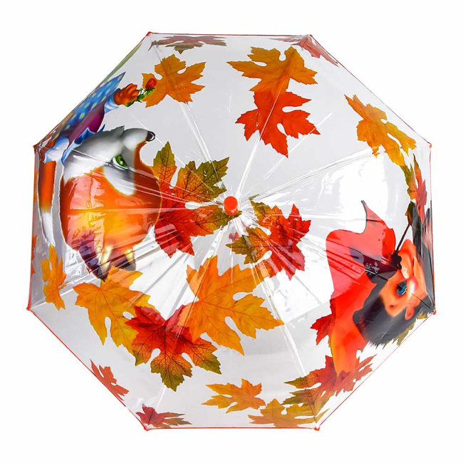 Парасольки і дощовики - Парасолька Shantou Jinxing Їжачок (CEL-403-2)#2