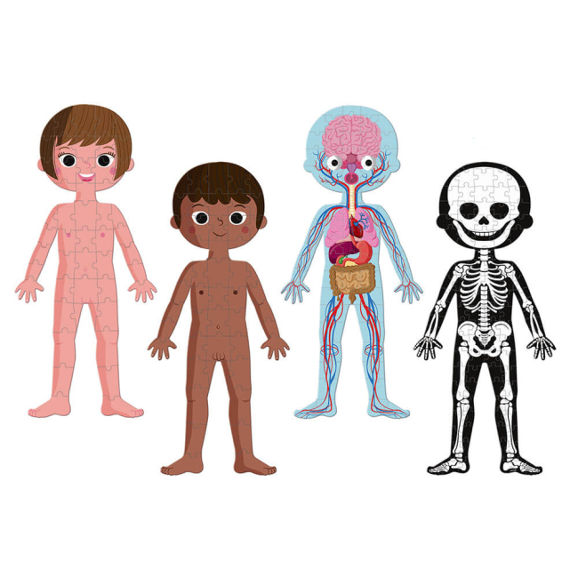 Пазлы - Пазл обучающий Janod Тело человека (J02681)#3