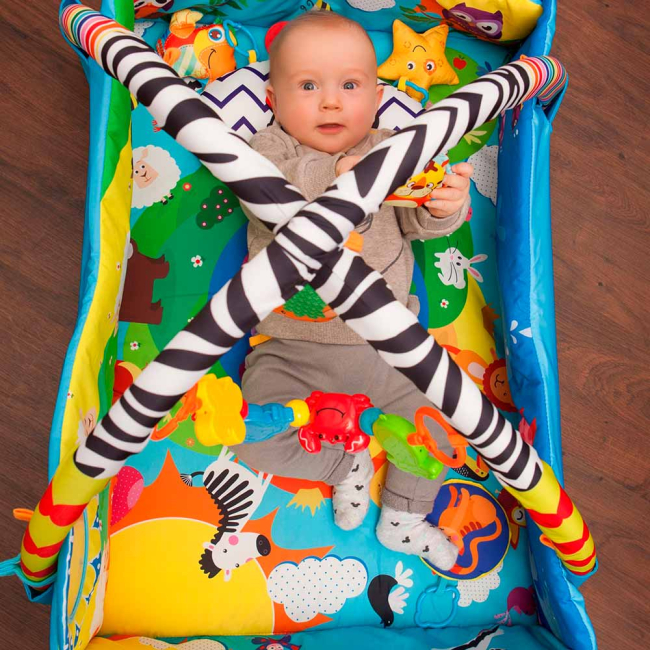 Развивающие коврики - Развивающий коврик Lionelo Anika (LO.AN01)#5