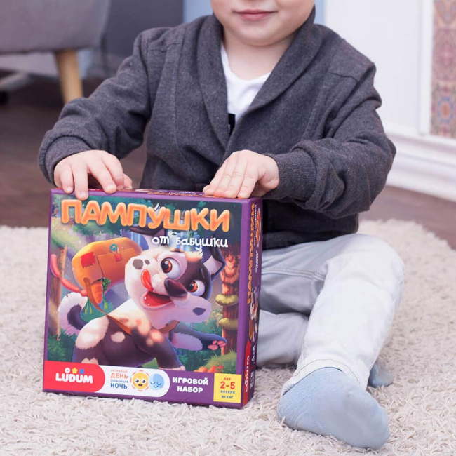 Настільні ігри - Настільна гра Ludum День ніч Пампусі від бабусі російською (LD1046-01) (4820215151955)#4