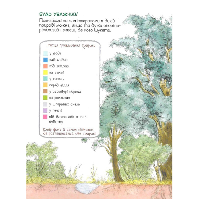 Познавательные книги (4-10 лет) - Книжка «Хто де живе? Дивовижний світ тварин» (121097)#3