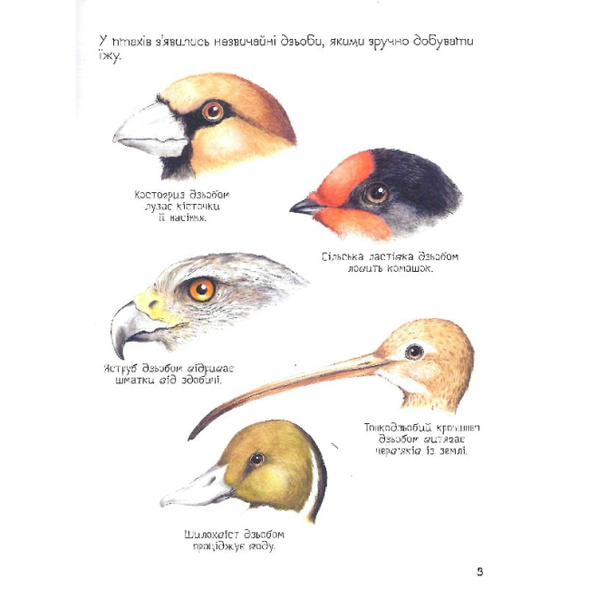 Познавательные книги (4-10 лет) - Книжка «Навіщо тваринам хвіст? Дивовижний світ тварин» (121098)#2