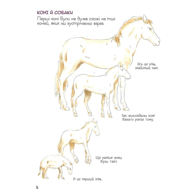 Познавательные книги (4-10 лет) - Книжка «Навіщо тваринам хвіст? Дивовижний світ тварин» (121098)#3