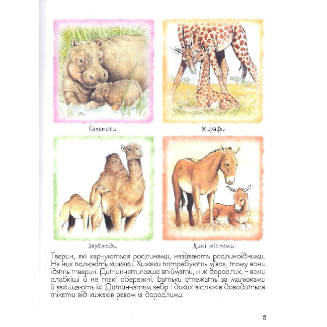 Познавательные книги (4-10 лет) - Книжка «Мами та малюки Дивовижний світ тварин» (121100)#3