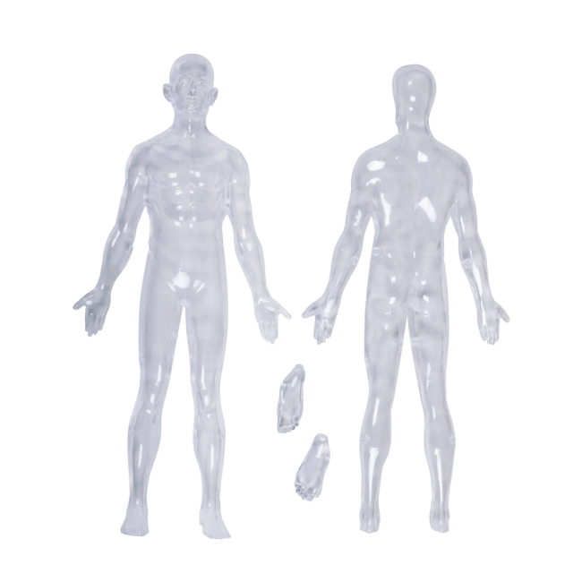 Наукові ігри, фокуси та досліди - Об'ємна модель 4D Master Тіло людини прозоре (FM-626204)#4